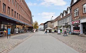 Sanders Fjord - Treasured One-Bedroom Apartment In Center Of Roskilde